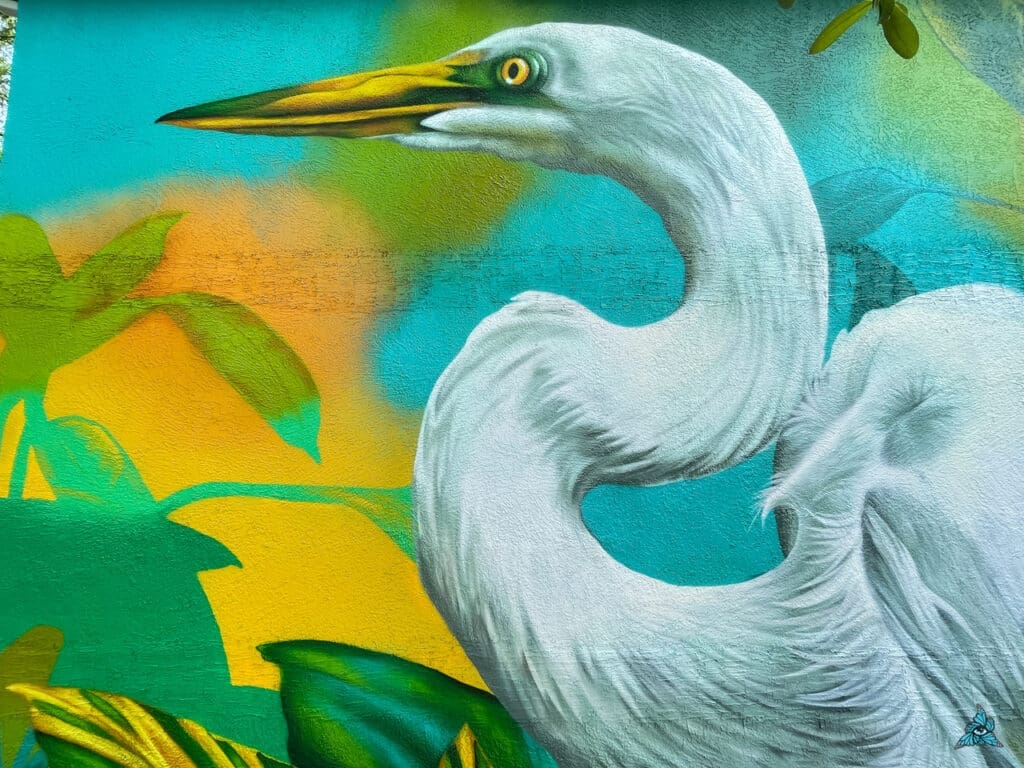 Dreamweaver - Egret